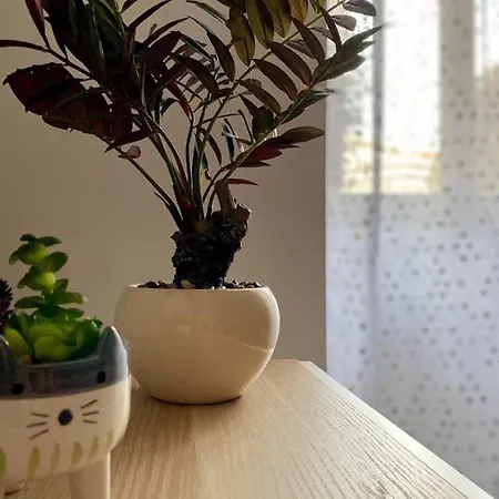Modern -locazione Turistica- Apartment *